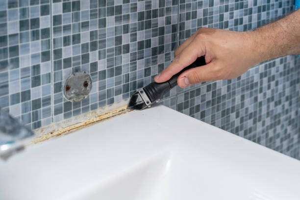 Best Emergency Mold Removal  in Marysville, WA