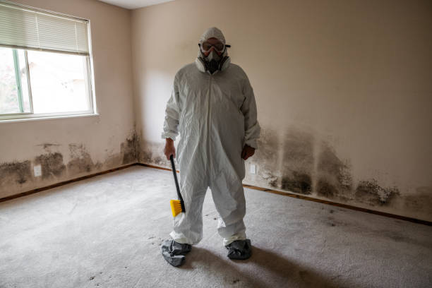 Best Mold Remediation Services  in Marysville, WA